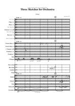 3 sketches for orchestra
