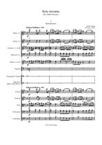 Suite Autumn (for small orchestra)