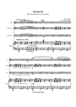 Amapola (flute, bandoneon, bass and piano)