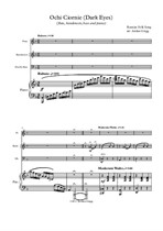 Ochi Ciornie (Dark Eyes) flute, bandoneon, bass and piano