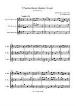 V'adoro from Giulio Cesare (recorder trio)