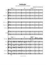 Solitude (for violin and chamber orchestra)