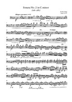 Sonata No.2 in C minor (solo cello)