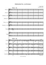 Sinfonietta No.5 in B minor